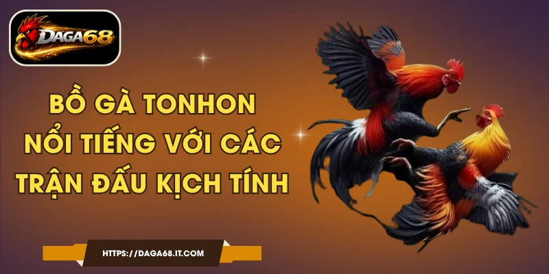 Bồ Gà Tonhon - Nổi Tiếng Với Các Trận Đấu Kịch Tính