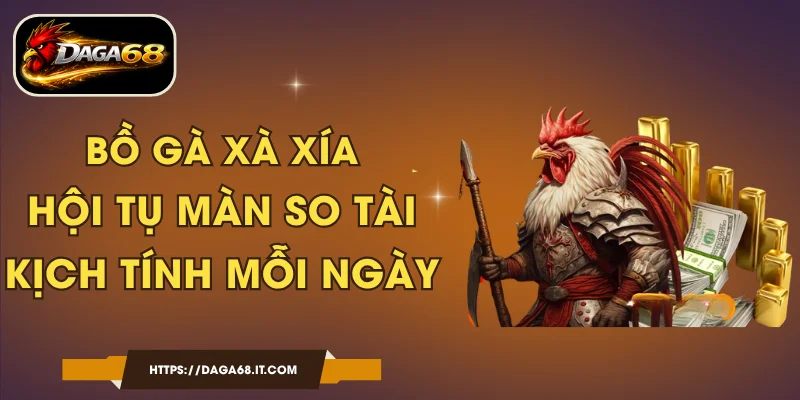 Bồ Gà Xà Xía - Hội Tụ Màn So Tài Kịch Tính Mỗi Ngày