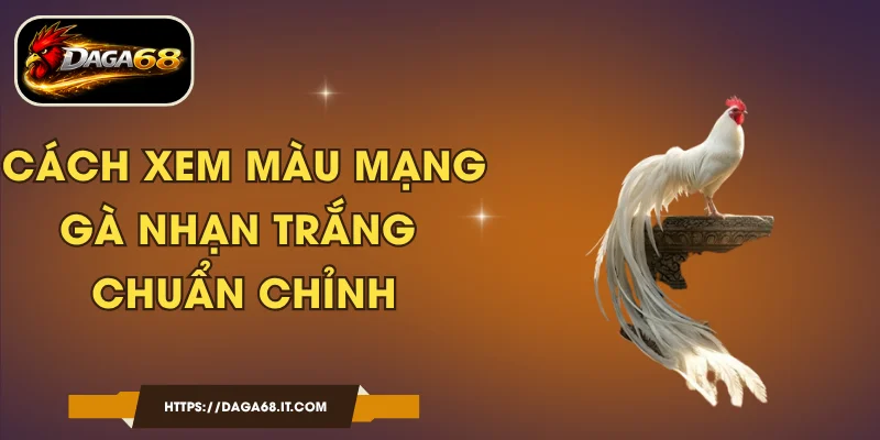 Cách Xem Màu Mạng Gà Nhạn Trắng Chuẩn Chỉnh
