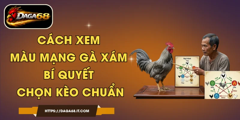 Cách Xem Màu Mạng Gà Xám - Bí Quyết Chọn Kèo Chuẩn