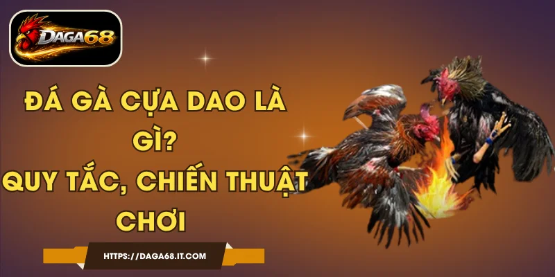 Đá Gà Cựa Dao Là Gì? Quy Tắc, Chiến Thuật Chơi