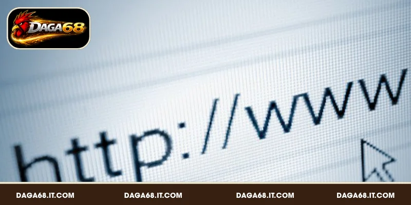 Đăng nhập tài khoản DAGA68 cần tìm đúng link