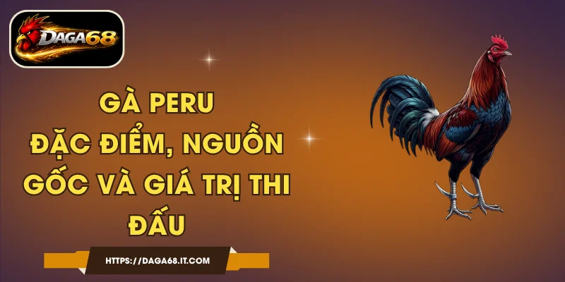 Gà Peru - Đặc Điểm, Nguồn Gốc Và Giá Trị Thi Đấu