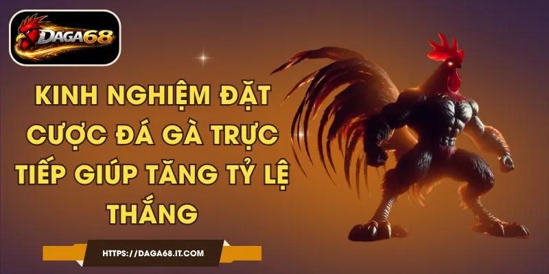 Kinh Nghiệm Đặt Cược Đá Gà Trực Tiếp Giúp Tăng Tỷ Lệ Thắng