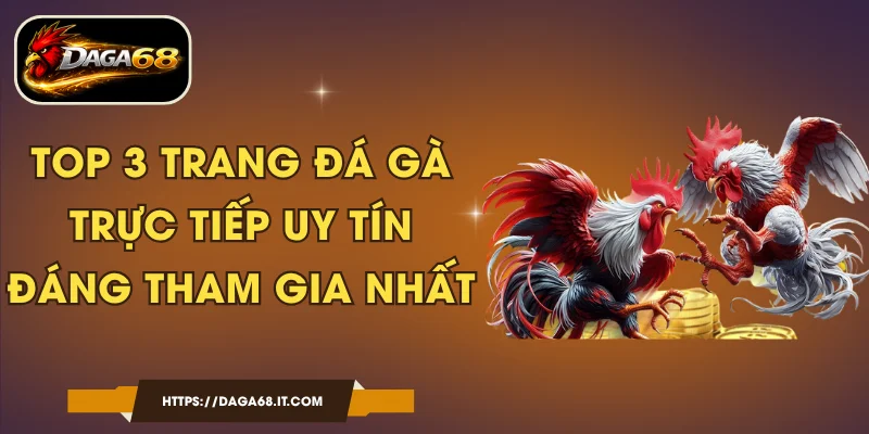 Top 3 Trang Đá Gà Trực Tiếp Uy Tín Đáng Tham Gia Nhất