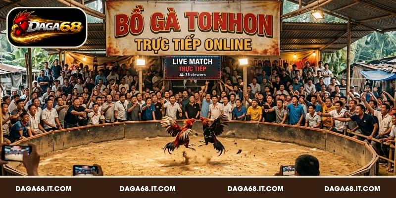 Vài nét cơ bản bồ gà Tonhon